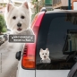 Preview: West Highland Terrier an Bord Autoaufkleber