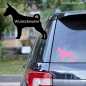 Preview: Zwergpinscher Umriss Autoaufkleber mit Hundename