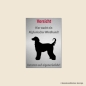 Preview: Afghanischer Windhund Warnschild