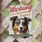 Preview: Australian Shepherd Warnschild DIN A5