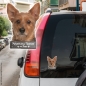 Preview: Australian Terrier an Bord Autoaufkleber