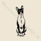 Preview: Basenji Aufkleber Shop