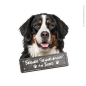 Preview: Berner Sennenhund an Bord Hundeaufkleber