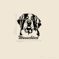 Preview: Bernhardiner Hundeaufkleber mit Wunschtext