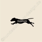 Preview: Hundeaufkleber Schweisshunde Shop