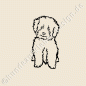 Preview: Bichon Frise Aufkleber