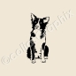 Preview: Border Collie Hundeaufkleber