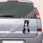 Preview: Border Collie Hundeaufkleber