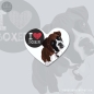 Preview: Boxer Magnet