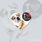 Preview: Bulldog Magnet
