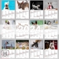 Preview: Bullterrier Kalender 2024 Monatsübersicht