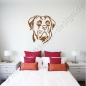 Preview: Hunde Wandtattoos Cane Corso 