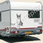 Preview: Boston Terrier Autoaufkleber