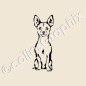 Preview: Chihuahua Hundeaufkleber