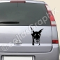 Preview: Dobermann Autoaufkleber