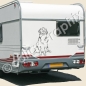 Preview: Golden Retriever hundeaufkleber