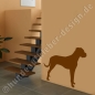 Preview: Dogo Argentino wandtattoo Hunde