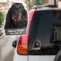 Preview: Gordon Setter an Bord Autoaufkleber