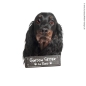 Preview: Gordon Setter an Bord Hundeaufkleber