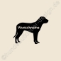 Preview: Grosser Schweizer Sennenhund Aufkleber Fanshop