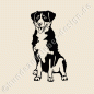 Preview: Appenzeller Sennenhund Hundeaufkleber