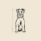 Preview: Schnauzer Hundeaufkleber Shop