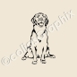 Preview: Golden Retriever hundeaufkleber