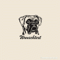Preview: Boxer Hunde Wandtattoo mit Wunschtext