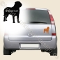 Preview: Bordeaux Dogge Aufkleber fürs Auto mit Hundename