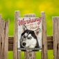 Preview: Husky Hundeschild DIN A5