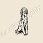 Preview: Irish Setter Aufkleber