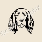 Preview: Irish Setter Aufkleber