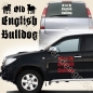 Preview: Old English Bulldog Autoaufkleber