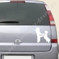 Preview: Pudel Hunde Autoaufkleber mit wunschname