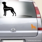 Preview: Rhodesian Ridgeback Autoaufkleber mit Wunschtext