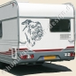 Preview: Riesenschnauzer wandtattoo