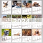 Preview: Boxer Kalender 2024 Monatsübersicht