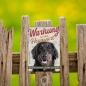 Preview: Hovawart Hundeschild DIN A5