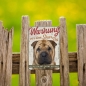 Preview: Shar Pei Hundeschild DIN A5