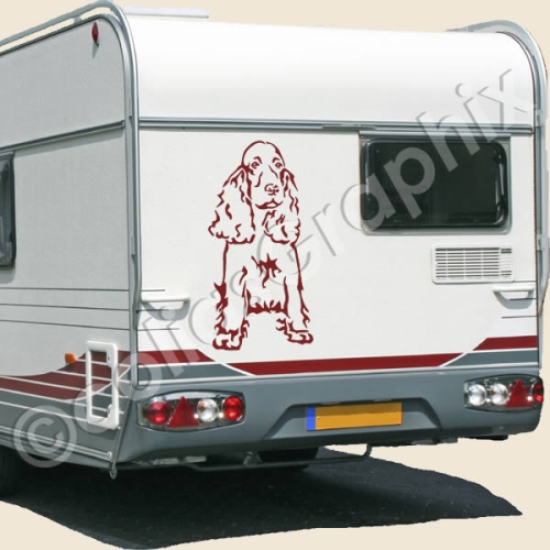 Cockerspaniel Autoaufkleber