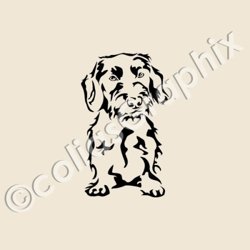 Rauhaar Dackel Hundeaufkleber