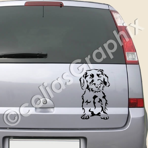 Rauhaar Dackel Hundeaufkleber