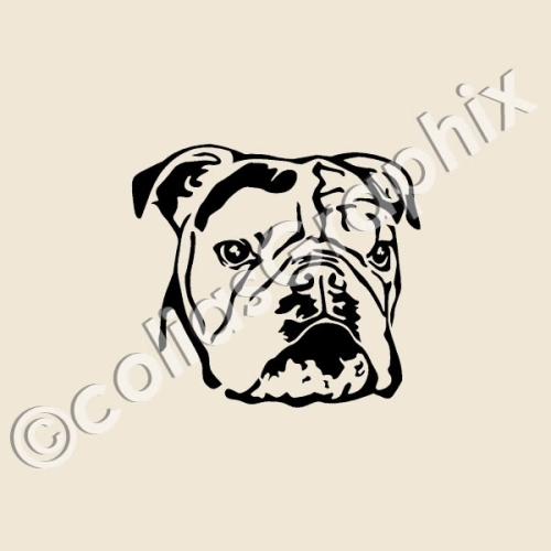Englische Bulldogge Autoaufkleber
