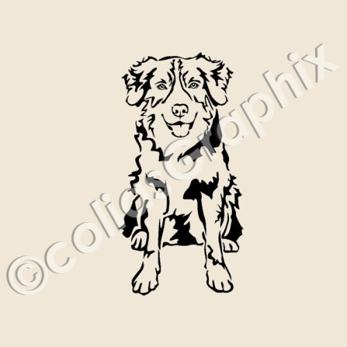 Australian Shepherd Hundeaufkleber