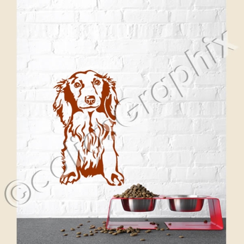 Langhaar Dackel wandtattoo hunde