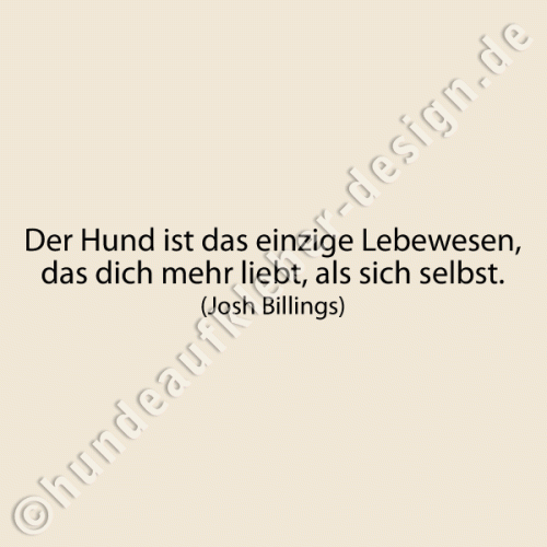 Worte Wandtattoo Hunde