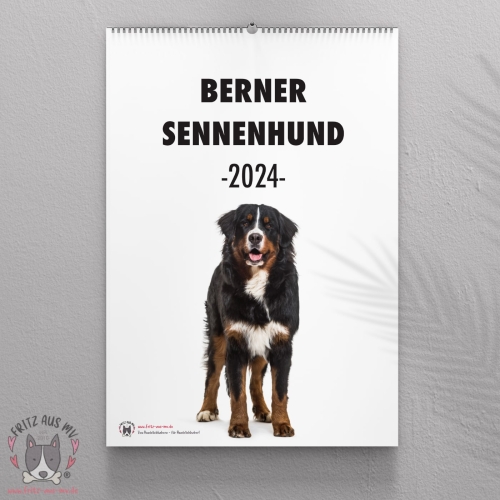 Berner Sennenhund Kalender 2024