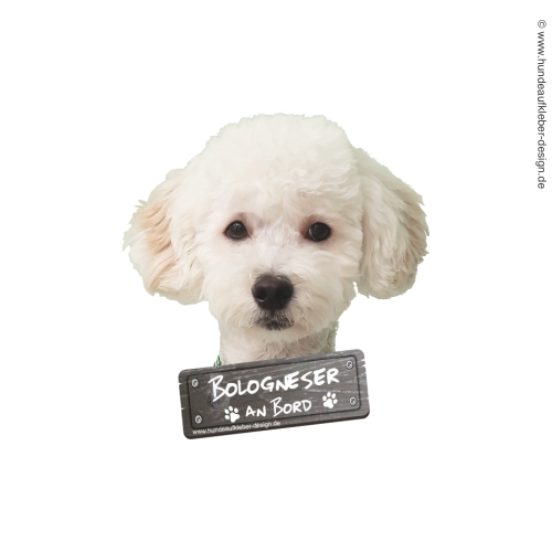 Bologneser Hundeaufkleber