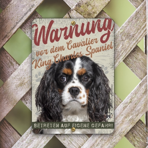 Cavalier King Charles Spaniel Warnschild DIN A5