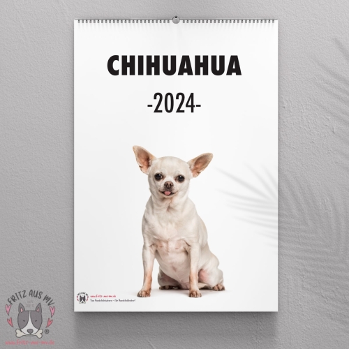 Chihuahua Kalender 2024